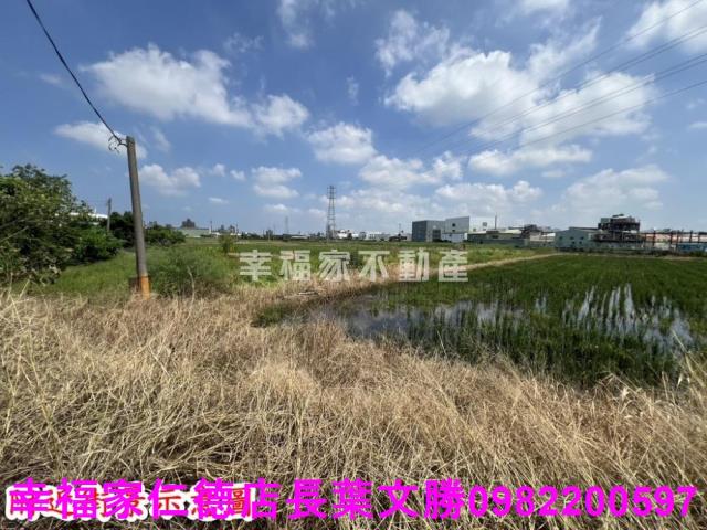 仁德農地-13