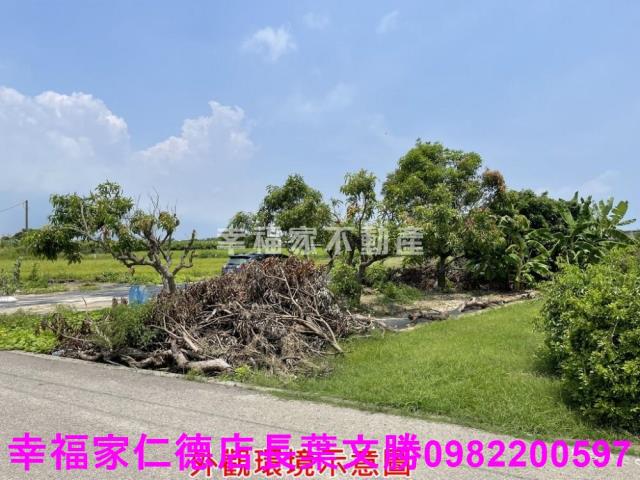 仁德農地-10