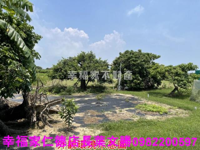 仁德農地-14