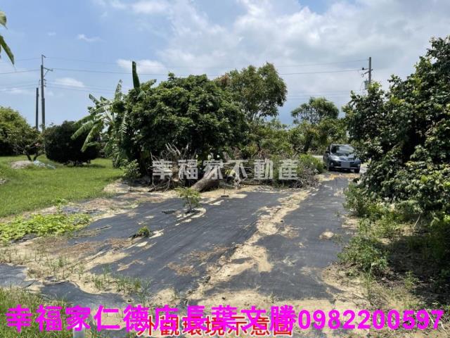 仁德農地-15