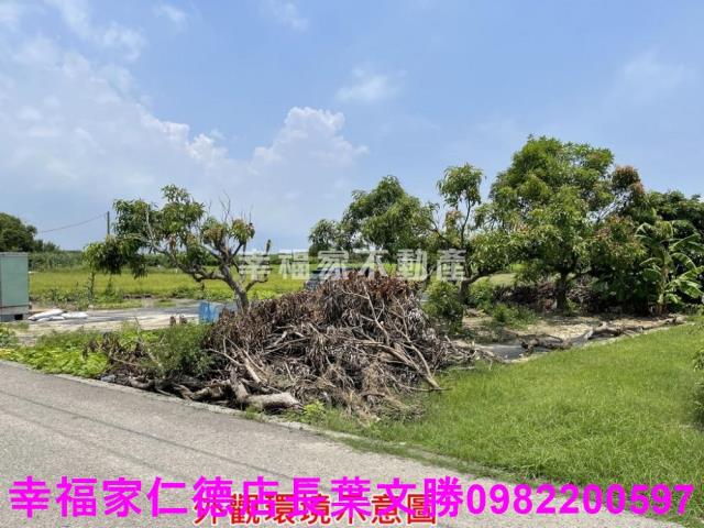 仁德農地-2