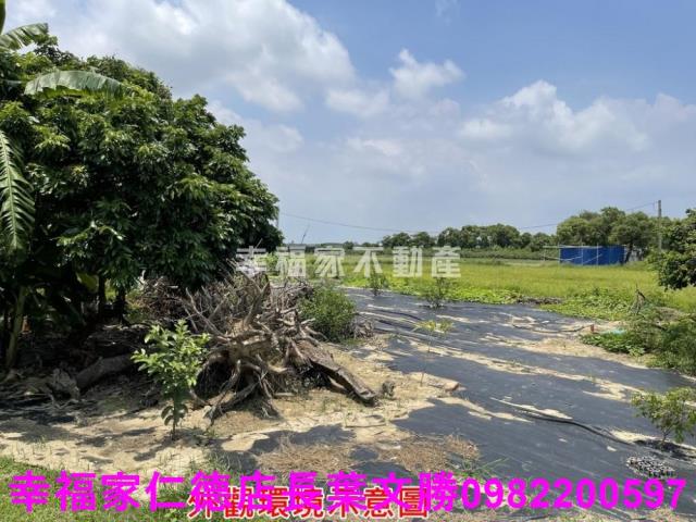 仁德農地-5