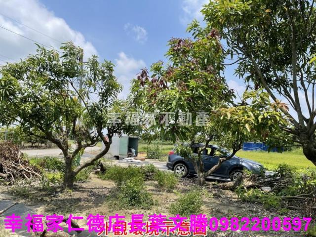 仁德農地-8