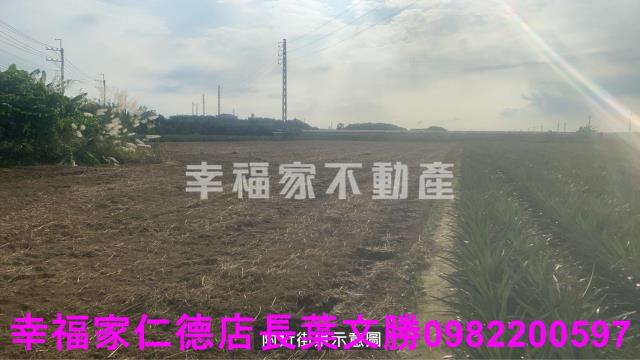 新市農地-9