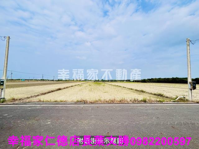 麻豆農地-12
