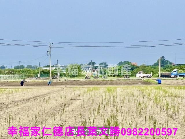 麻豆農地-2