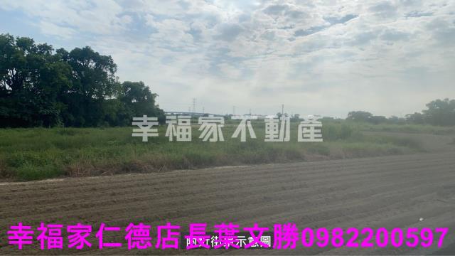新市農地-4