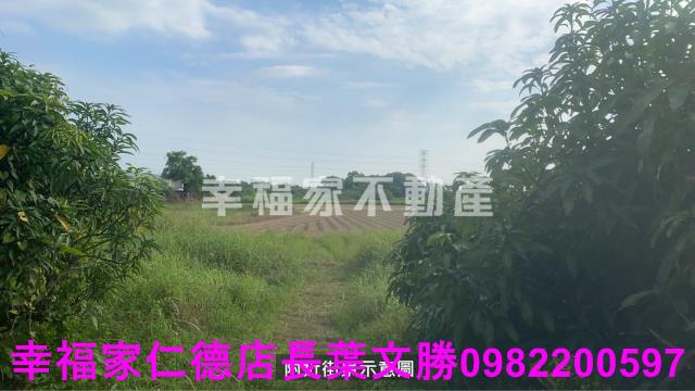 新市農地-7