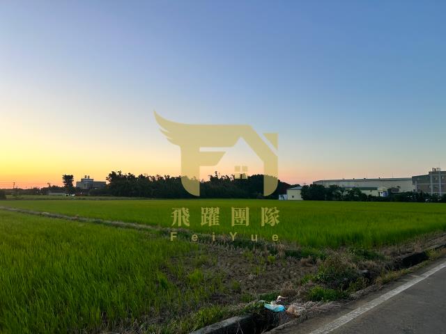 大園農地-2