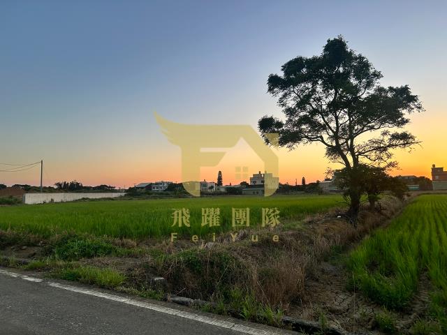 大園農地-4