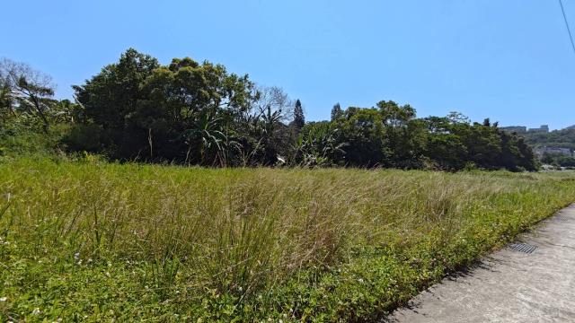 龍潭農地-10