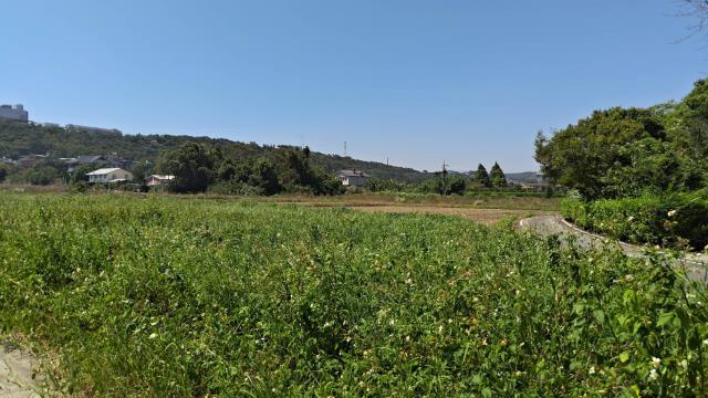 龍潭農地-11