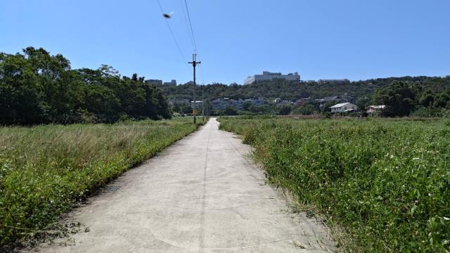 龍潭農地-1