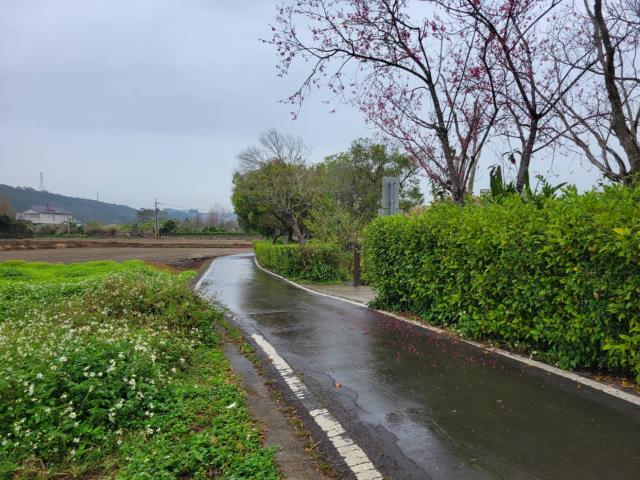 龍潭農地-4