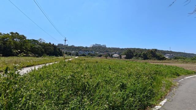 龍潭農地-5