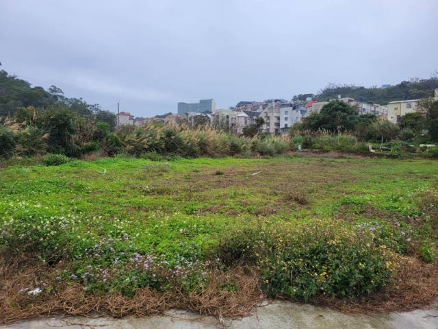 龍潭農地-7