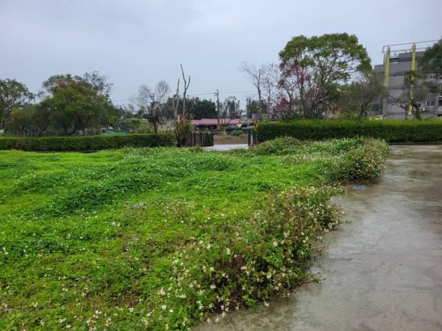 龍潭農地-5