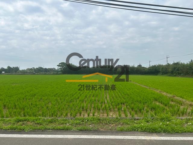 楊梅農地-3