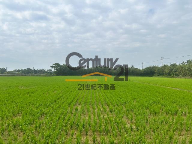 楊梅農地-4