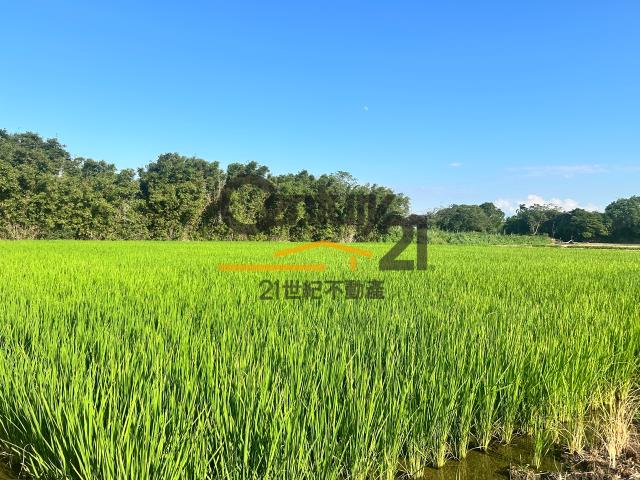 楊梅農地-2