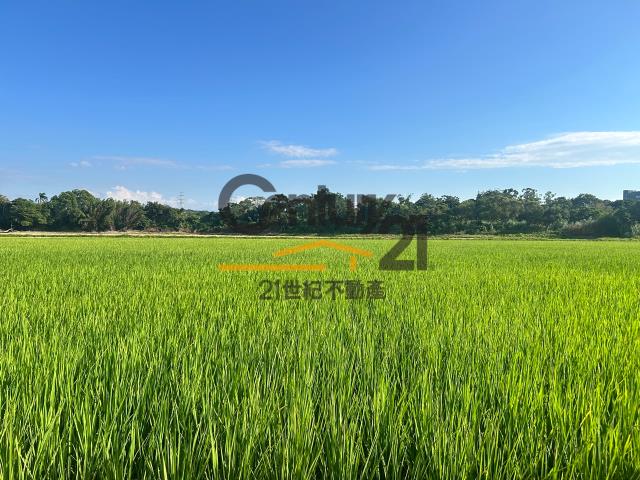 楊梅農地-4