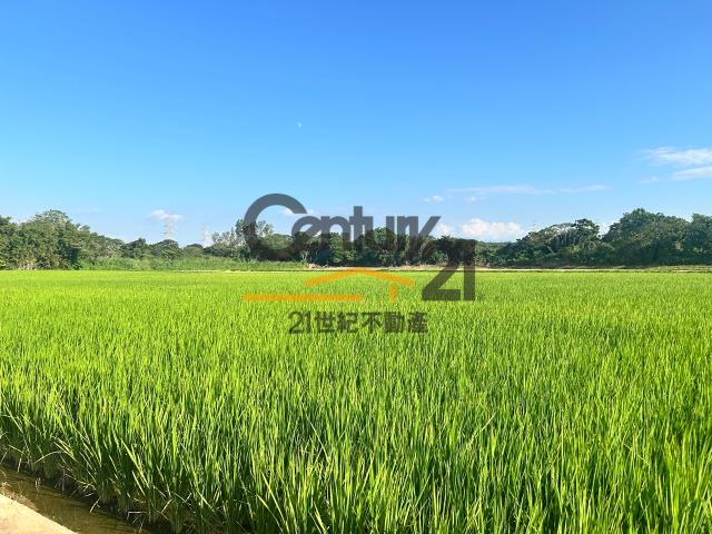 楊梅農地-3