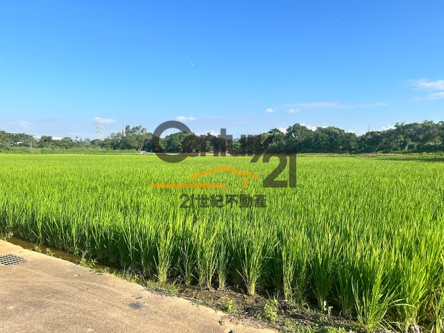 桃園農地-1