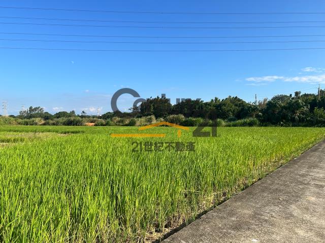桃園農地-2