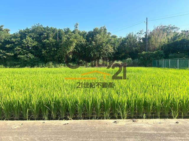 桃園農地-3