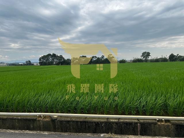 桃園農地-3
