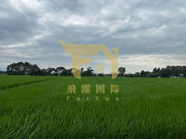 桃園農地-5