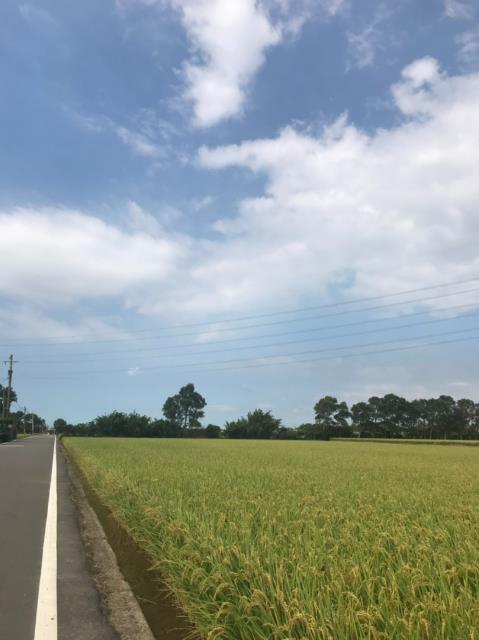 桃園農地-10