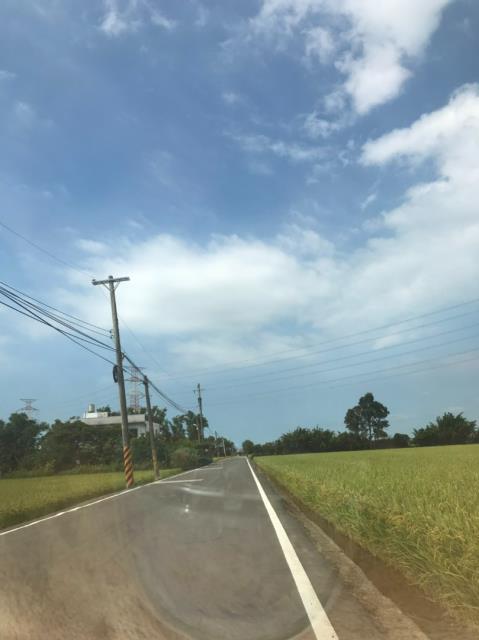 桃園農地-4