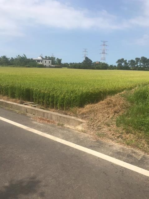 桃園農地-8