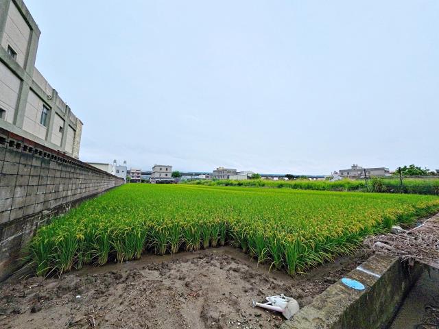 農地現況