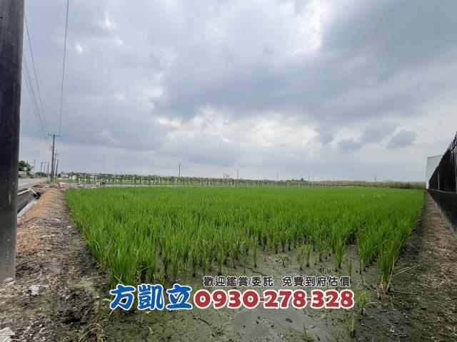 台南農地-8