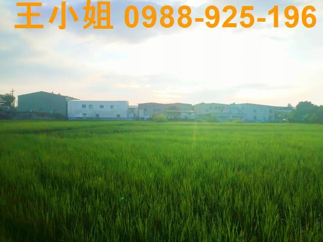 桃園農地-3