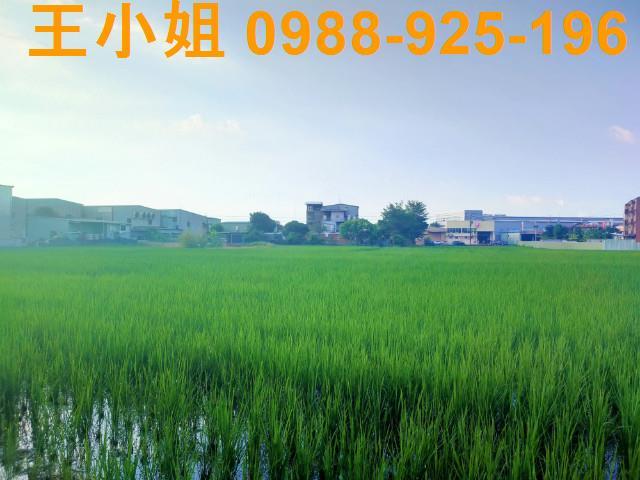 桃園農地-4