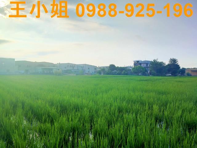 桃園農地-5