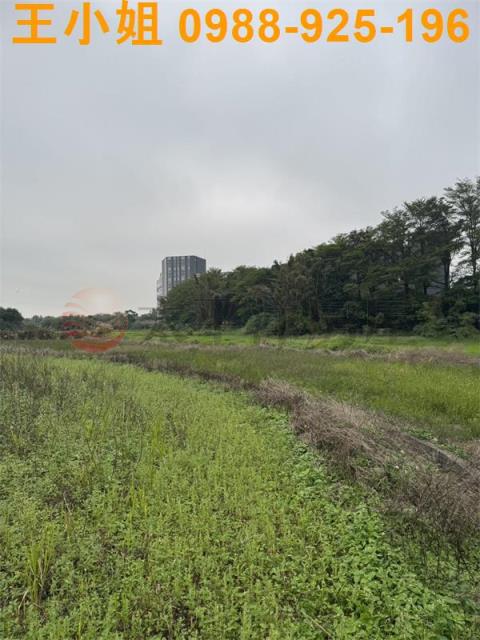 桃園農地-5