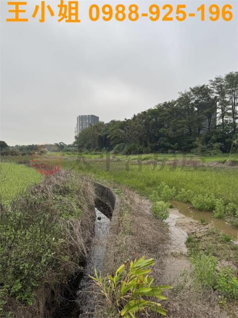 桃園農地-6