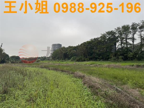 桃園農地-1