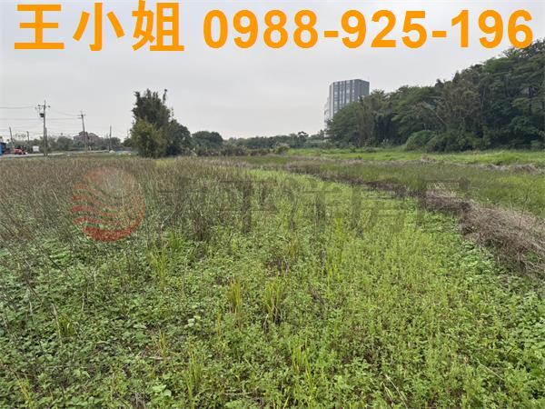 桃園農地-2