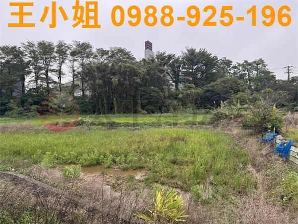 桃園農地-3