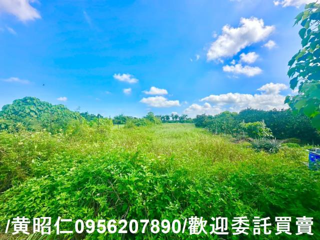 台南麻豆農地-2