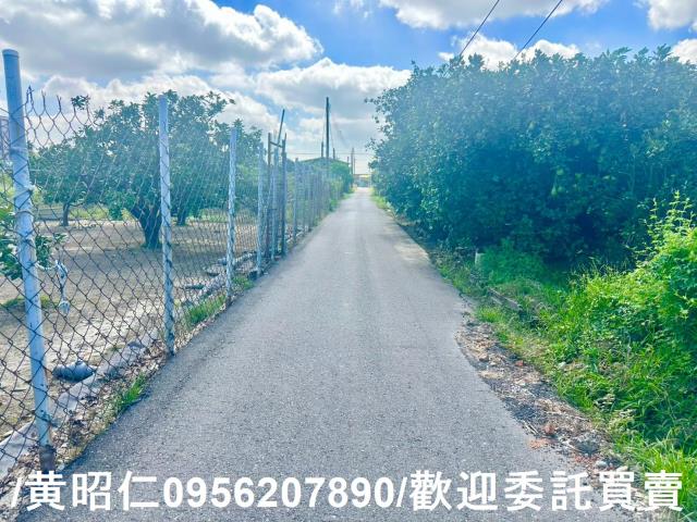 台南麻豆農地-4