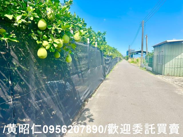 台南麻豆農地-7