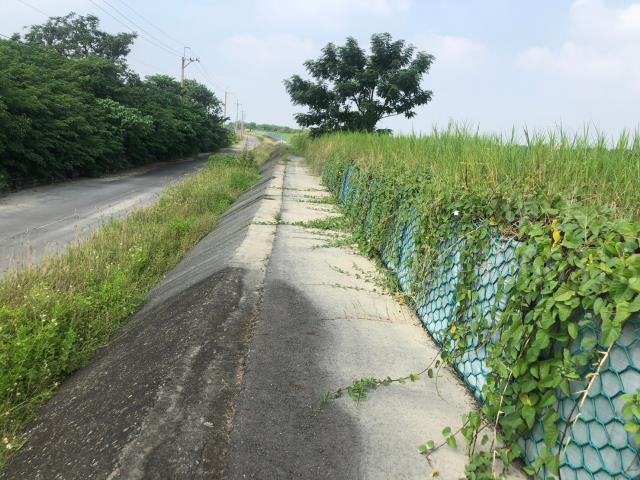 台南後壁農地-4