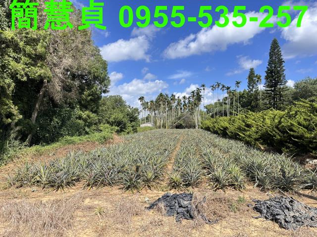 南投草屯農地-1