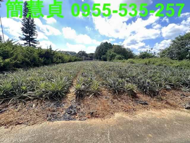 南投草屯農地-4
